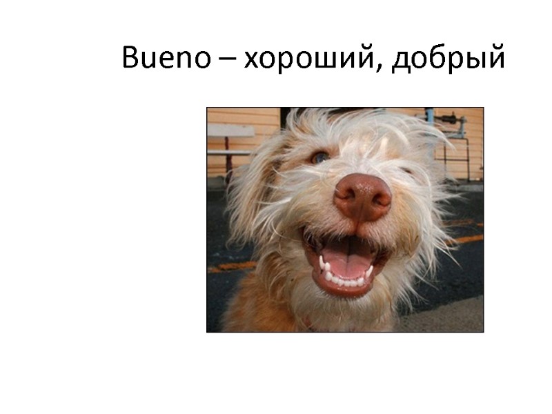 Bueno – хороший, добрый